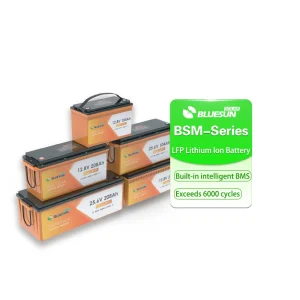Pin Lithium: BSM12007